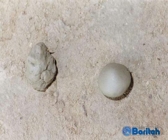Buy kaolin vs ball clay at an exceptional price