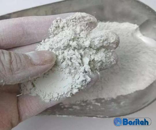 Buy Bentonite powder for dogs + great price with guaranteed quality