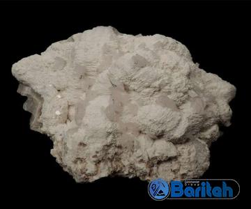dolomite for plants | Sellers at reasonable prices dolomite for plants